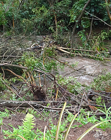 2013 maui flood