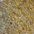 home roasted coffee beans start