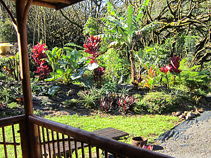 2013 deck and garden