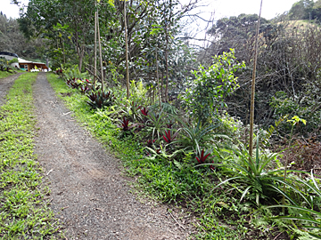 driveway before
