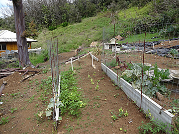 garden started