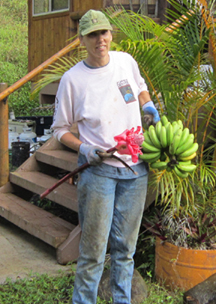 person in green hat holding big bunch of bananas and red torch ginger