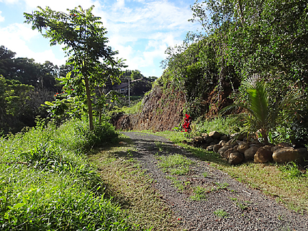 driveway culvert rocks 