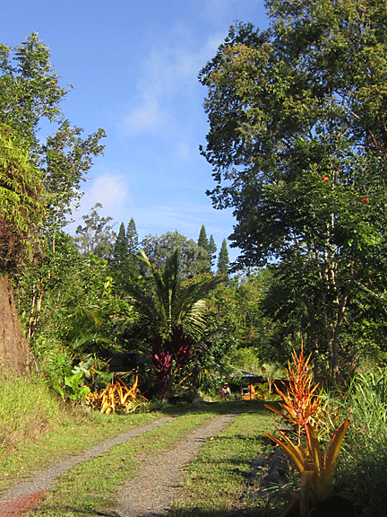 driveway 2017 