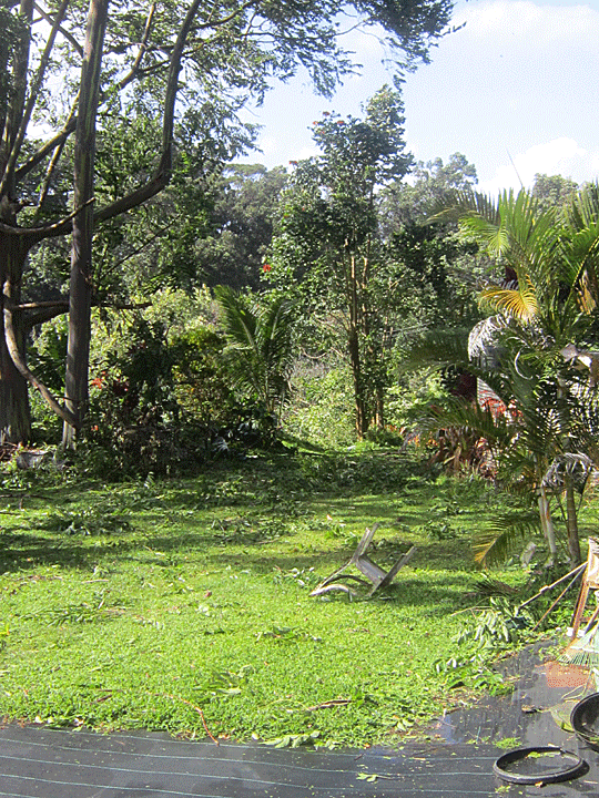 After Hurrican Lane