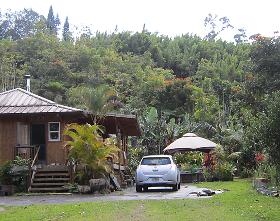 house with tree gone