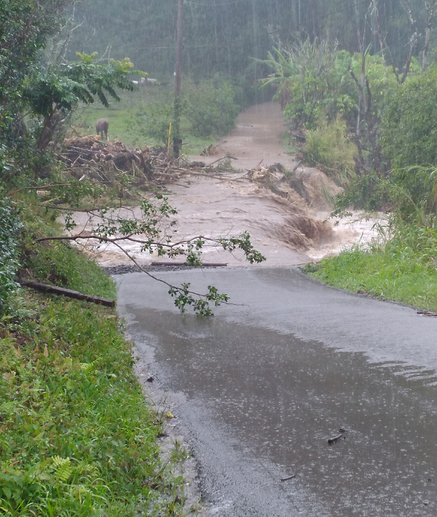 awalau bridge march 8 2021 flood
