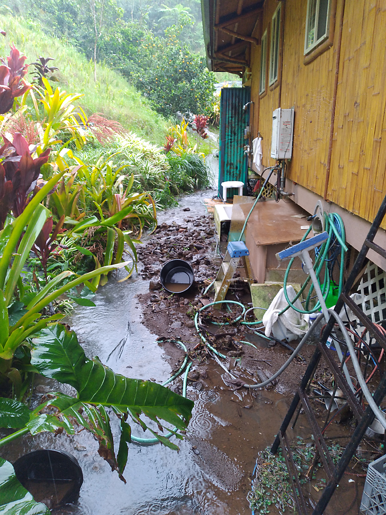 wind damage on Maui Feb 2019 